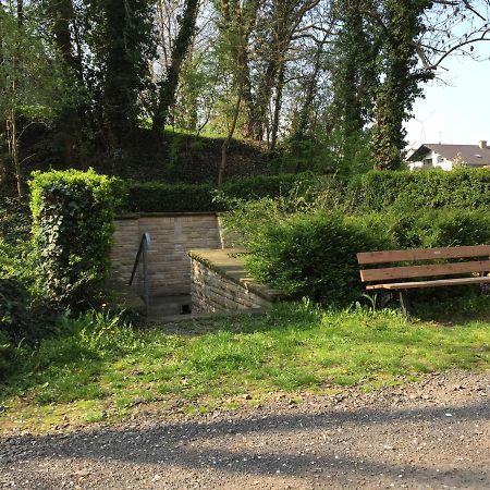 Alte Schule Wachenheim Im Zellertal Lejlighed Wachenheim an der Weinstraße Eksteriør billede