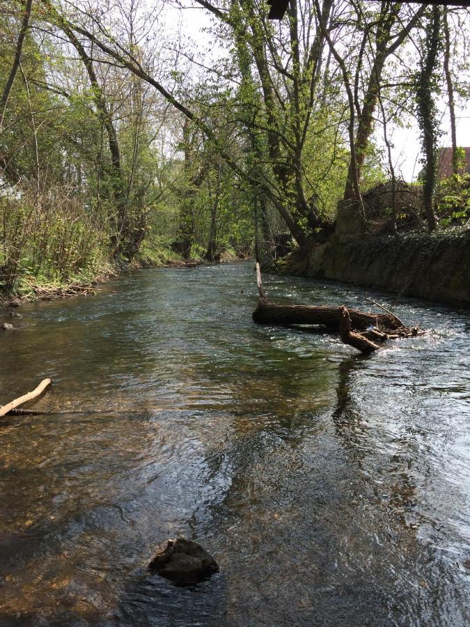 Alte Schule Wachenheim Im Zellertal Lejlighed Wachenheim an der Weinstraße Eksteriør billede